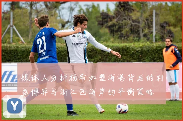 媒体人分析杨希加盟海港背后的利益博弈与浙江西海岸的平衡策略